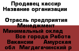 Продавец-кассир › Название организации ­ Southern Fried Chicken › Отрасль предприятия ­ Менеджмент › Минимальный оклад ­ 40 000 - Все города Работа » Вакансии   . Амурская обл.,Магдагачинский р-н